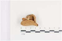 登錄號:F0036043藏品圖，第3張