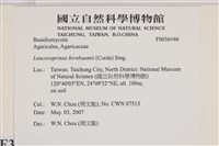 登錄號:F0036046藏品圖，第2張