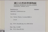 登錄號:F0036047藏品圖，第2張