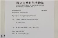 登錄號:F0036048藏品圖，第2張