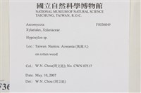 登錄號:F0036049藏品圖，第2張