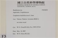 登錄號:F0036050藏品圖，第2張
