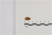 登錄號:F0036050藏品圖，第1張