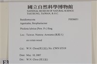 登錄號:F0036051藏品圖，第2張
