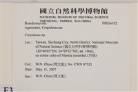登錄號:F0036052藏品圖，第2張