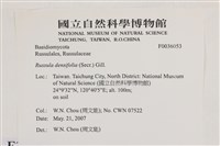 登錄號:F0036053藏品圖，第2張