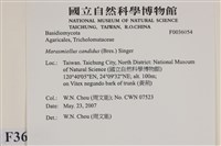 登錄號:F0036054藏品圖，第2張