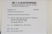 登錄號:F0036055藏品圖，第2張