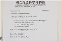 登錄號:F0036056藏品圖，第2張