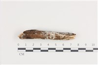登錄號:F0036056藏品圖，第1張