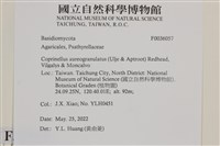 登錄號:F0036057藏品圖，第2張