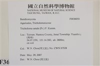登錄號:F0036058藏品圖，第2張