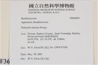 登錄號:F0036059藏品圖，第2張
