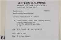 登錄號:F0036061藏品圖，第2張
