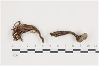 登錄號:F0036061藏品圖，第1張