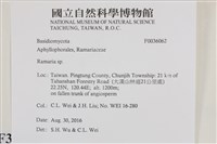 登錄號:F0036062藏品圖，第2張
