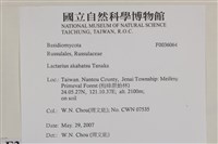 登錄號:F0036064藏品圖，第2張