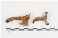 登錄號:F0036064藏品圖，第1張