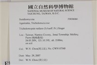 登錄號:F0036066藏品圖，第2張