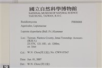 登錄號:F0036068藏品圖，第2張