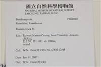 登錄號:F0036069藏品圖，第2張
