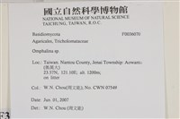 登錄號:F0036070藏品圖，第2張