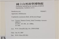 登錄號:F0036071藏品圖，第2張