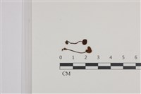 登錄號:F0036072藏品圖，第1張