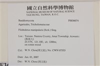 登錄號:F0036074藏品圖，第2張