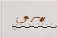 登錄號:F0036074藏品圖，第1張