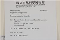 登錄號:F0036075藏品圖，第2張