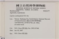登錄號:F0036077藏品圖，第2張
