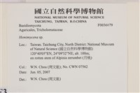 登錄號:F0036079藏品圖，第2張