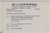 登錄號:F0036080藏品圖，第2張