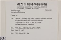 登錄號:F0036082藏品圖，第2張