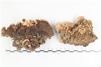登錄號:F0036083藏品圖，第1張
