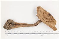 登錄號:F0036084藏品圖，第1張