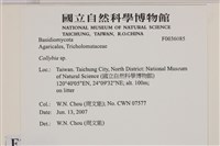 登錄號:F0036085藏品圖，第2張