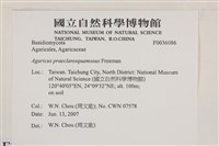 登錄號:F0036086藏品圖，第2張