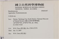 登錄號:F0036087藏品圖，第2張