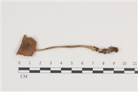 登錄號:F0036087藏品圖，第1張