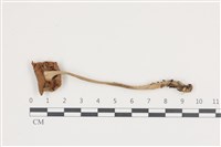 登錄號:F0036087藏品圖，第3張