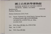 登錄號:F0036088藏品圖，第2張