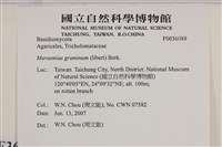 登錄號:F0036089藏品圖，第2張