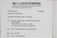 登錄號:F0036090藏品圖，第2張