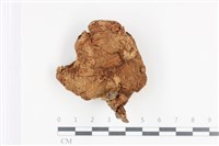 登錄號:F0036090藏品圖，第1張