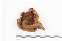 登錄號:F0036090藏品圖，第3張