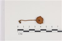 登錄號:F0036091藏品圖，第1張