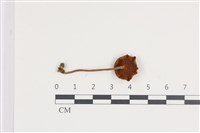 登錄號:F0036091藏品圖，第3張