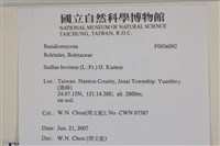 登錄號:F0036092藏品圖，第2張